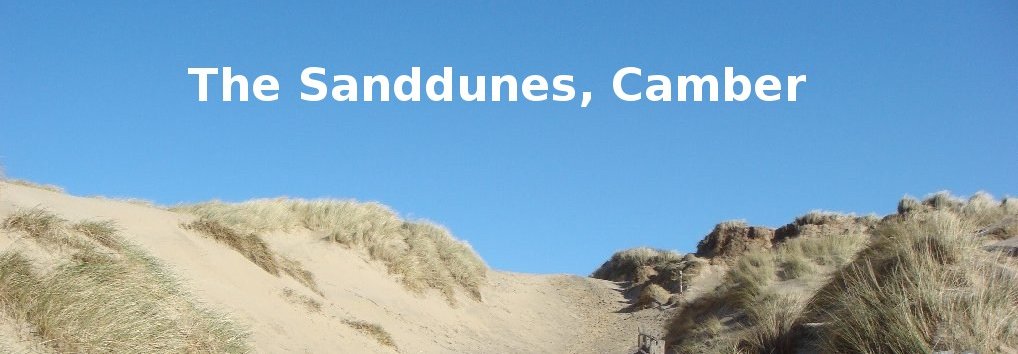 The Sanddunes, Camber