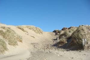 sanddunes
